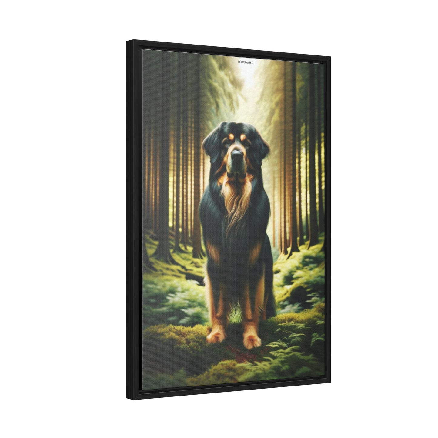 Majestic Presence: The Hovawart Dog Canvas by Arturo Digavi