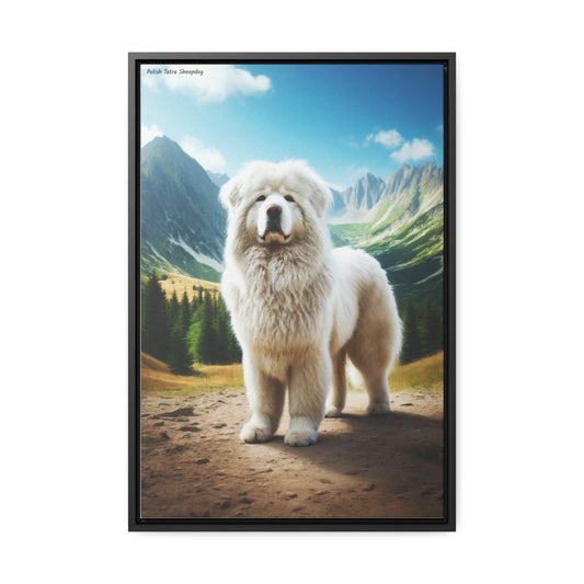 Embrace the Majesty of the Polish Tatra Sheepdog