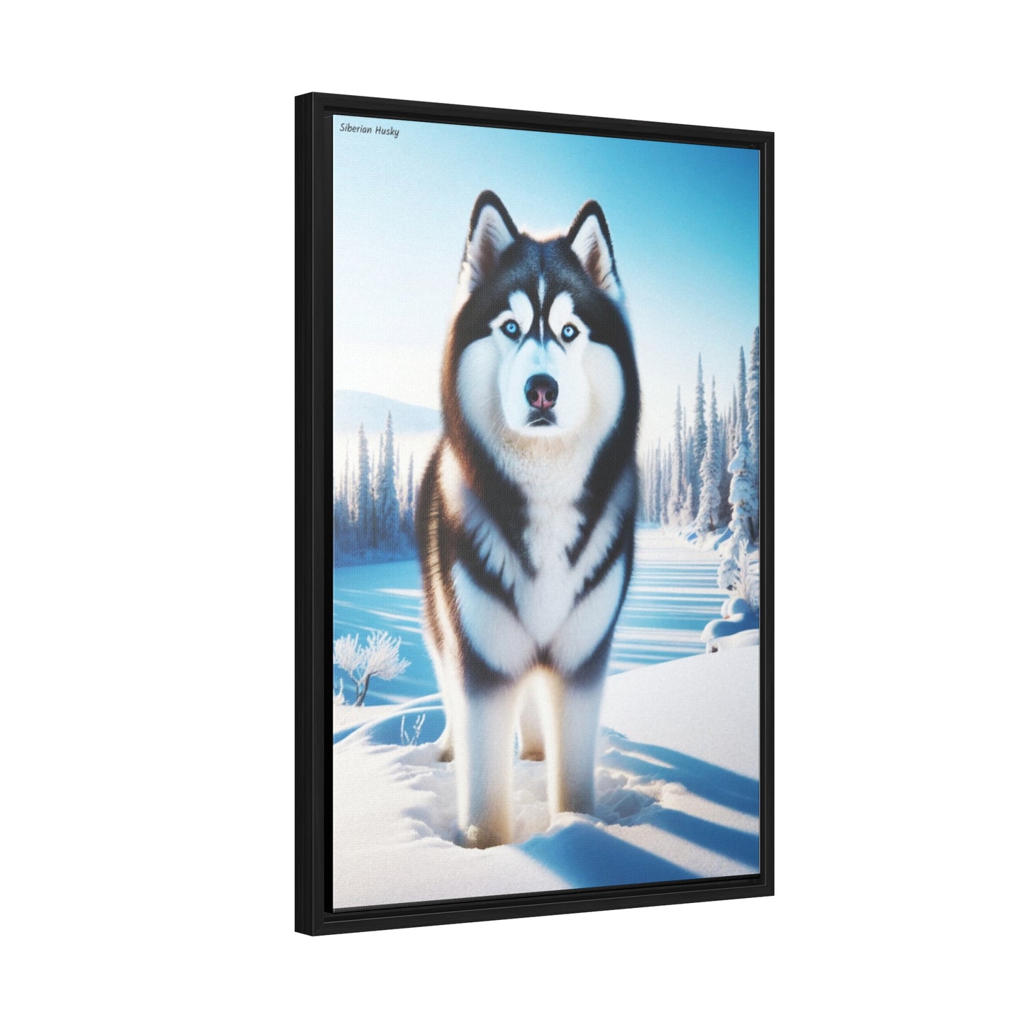 Majestic Siberian Husky: A Unique Digital Artwork by Arturo Digavi