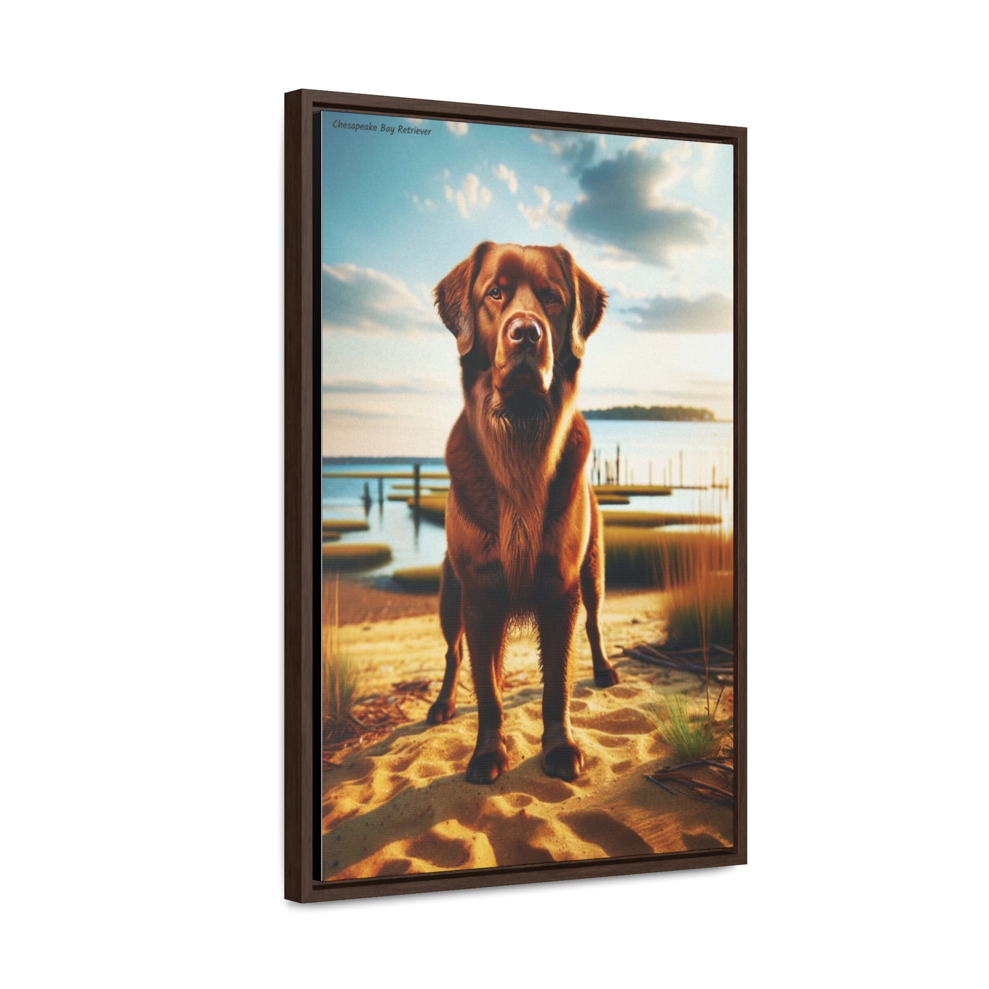 Majestic Chesapeake Bay Retriever