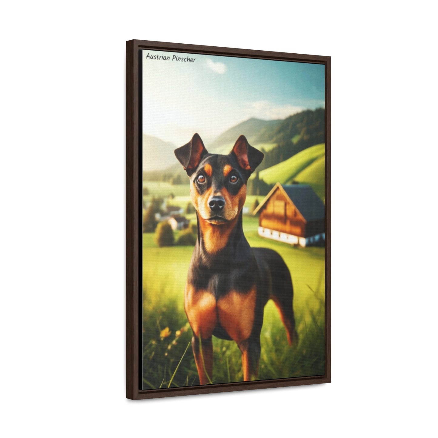 Vibrant Charm: The Austrian Pinscher