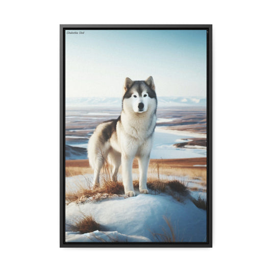 Majestic Chukotka Sled Dog