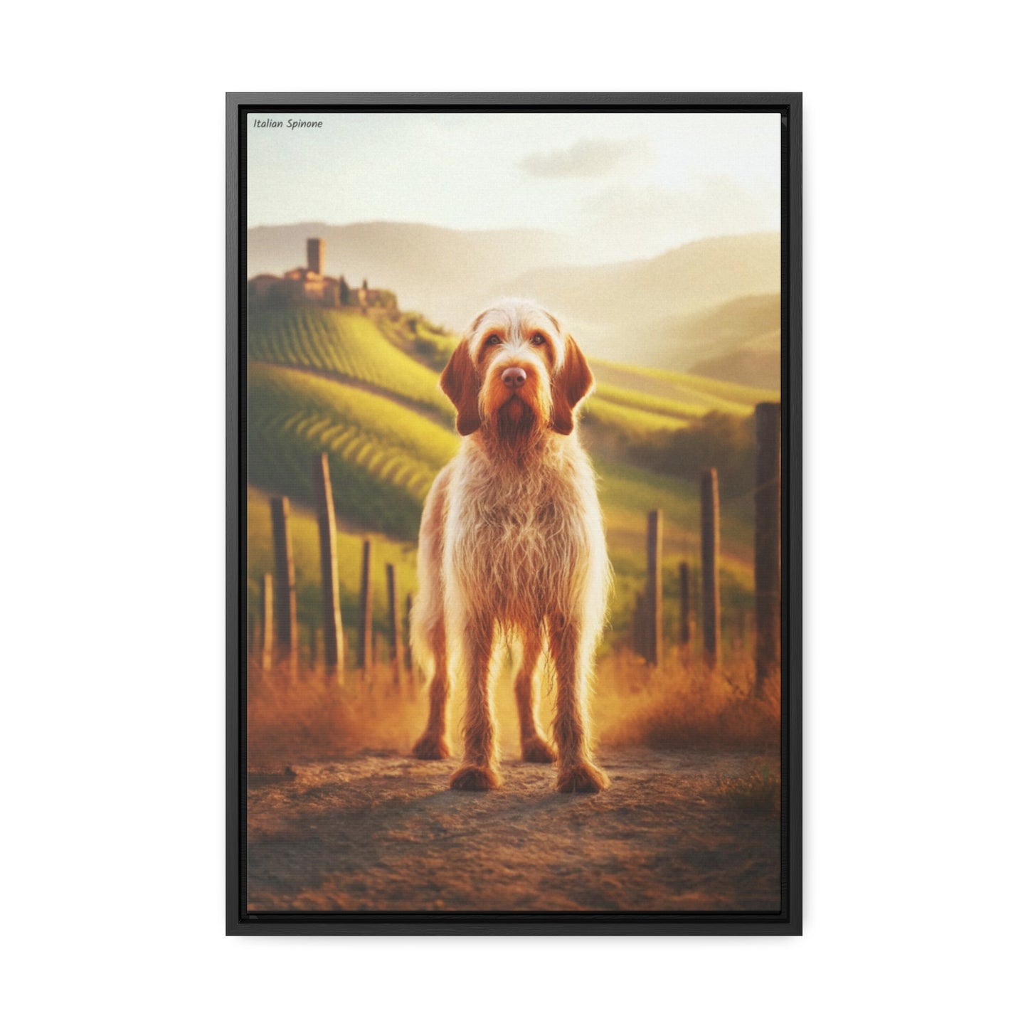 Rustic Charm: Italian Spinone by Arturo Digavi