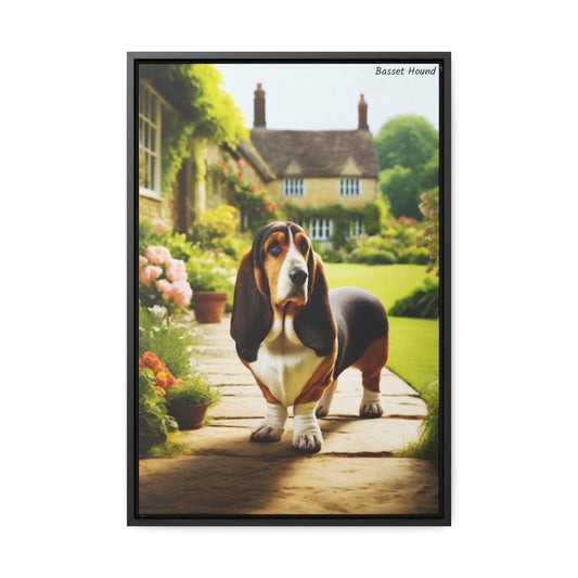 Charming Basset Hound: A Portrait of Playfulness