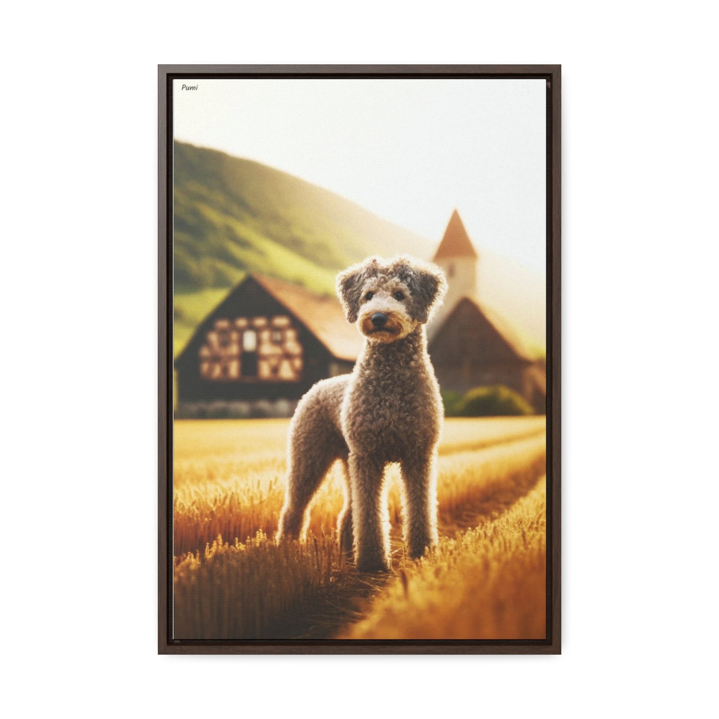 Pumi Delight: A Unique Canine Canvas