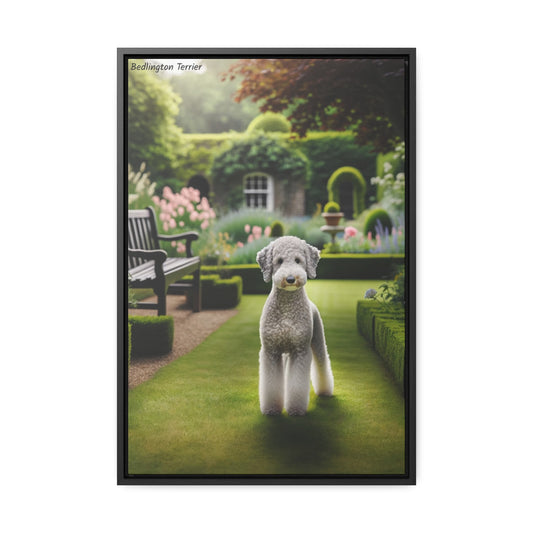 Charming Bedlington Terrier: A Whimsical Canine Portrait