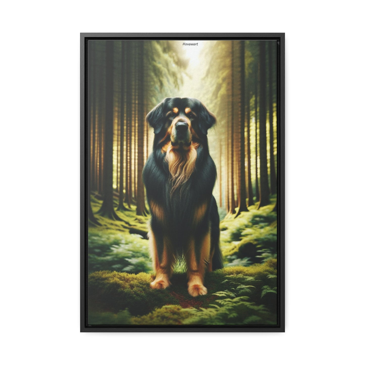 Majestic Presence: The Hovawart Dog Canvas by Arturo Digavi