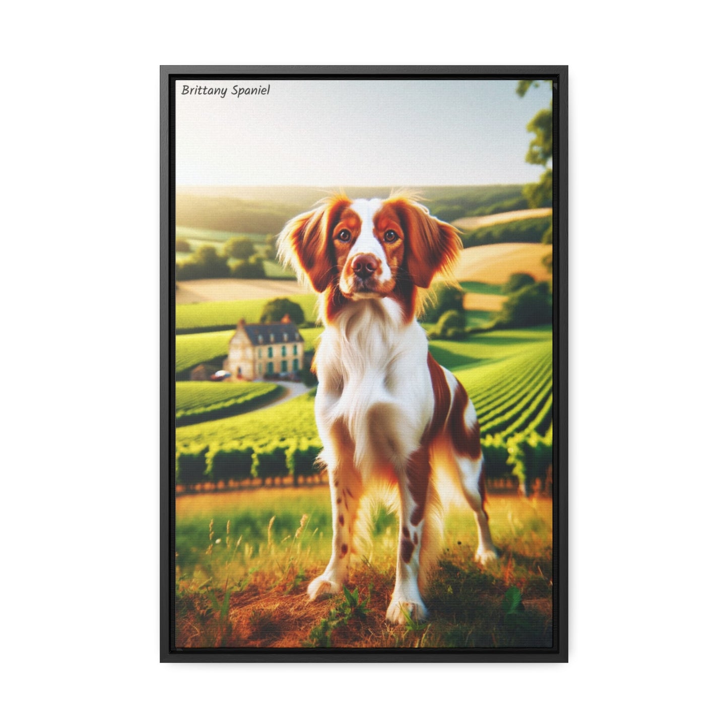 The Spirited Brittany Spaniel: A Captivating Canvas