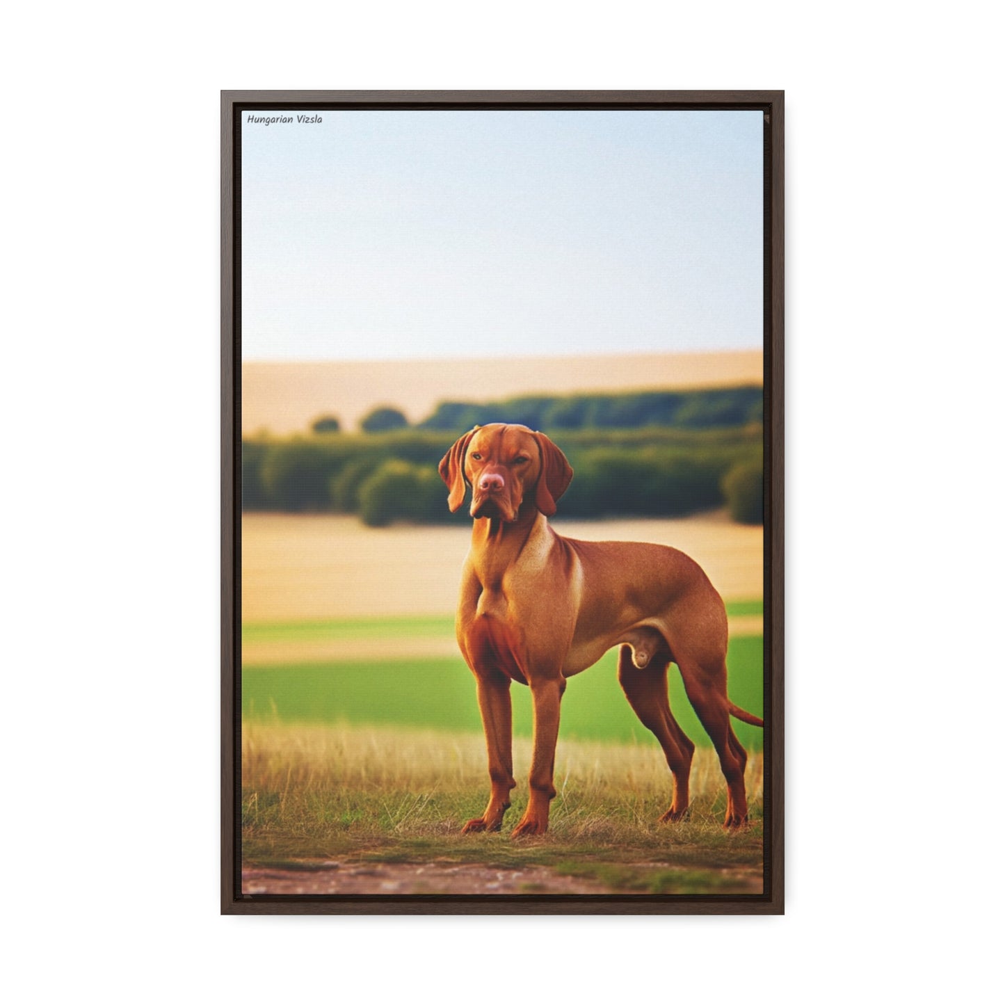 Hungarian Vizsla Majesty: A Captivating Canvas by Arturo Digavi