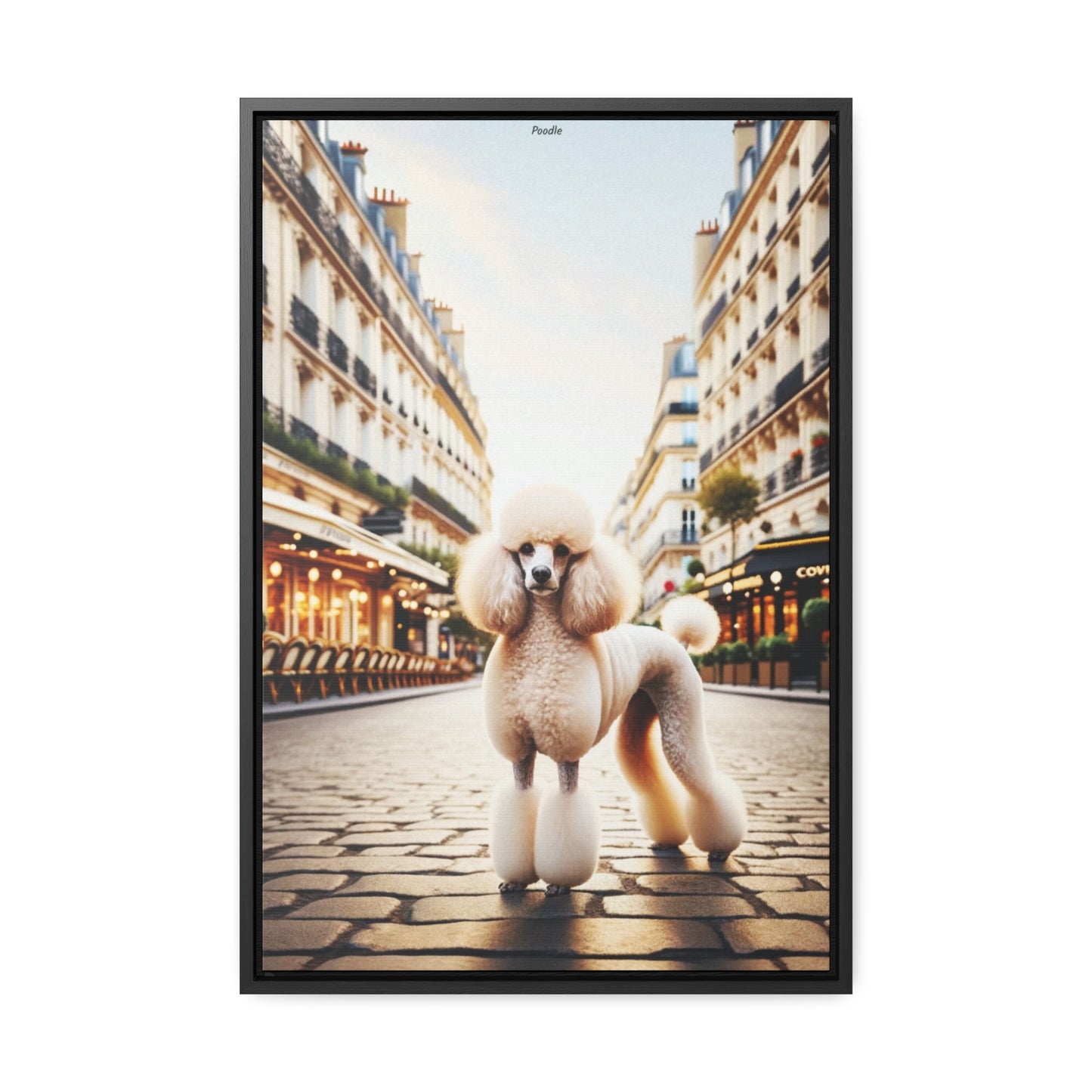 Charming Poodle: A Unique Artwork