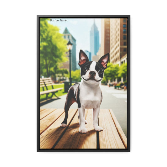 Boston Terrier Brilliance: A Touch of Charm for Your Home