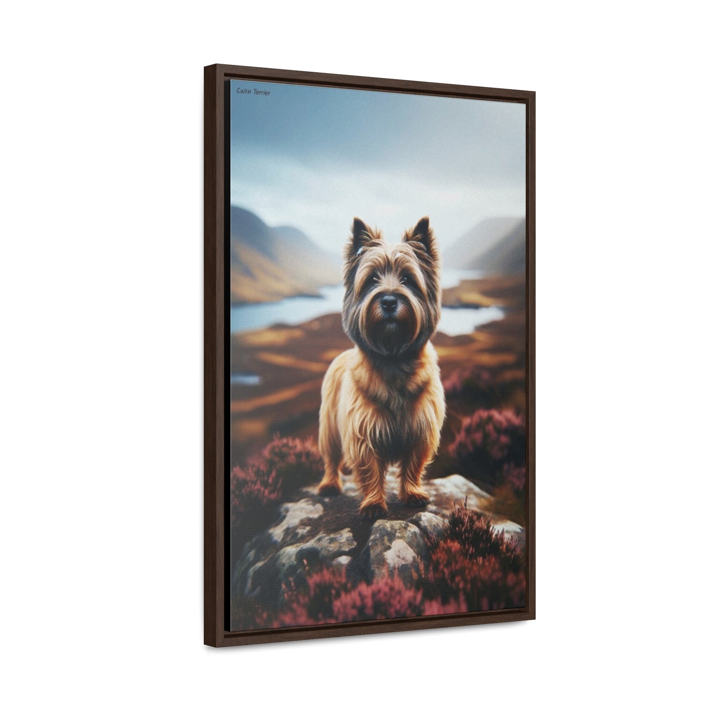 Charming Spirit: The Cairn Terrier by Arturo Digavi