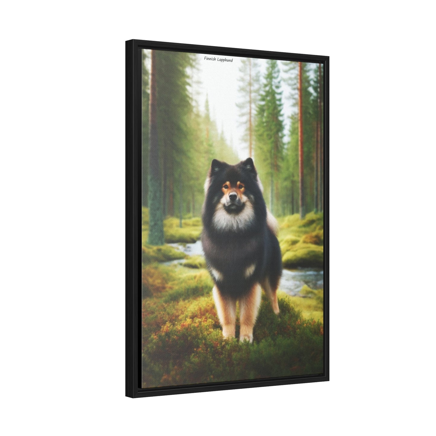 Majestic Finnish Lapphund - Digital Art by Arturo Digavi