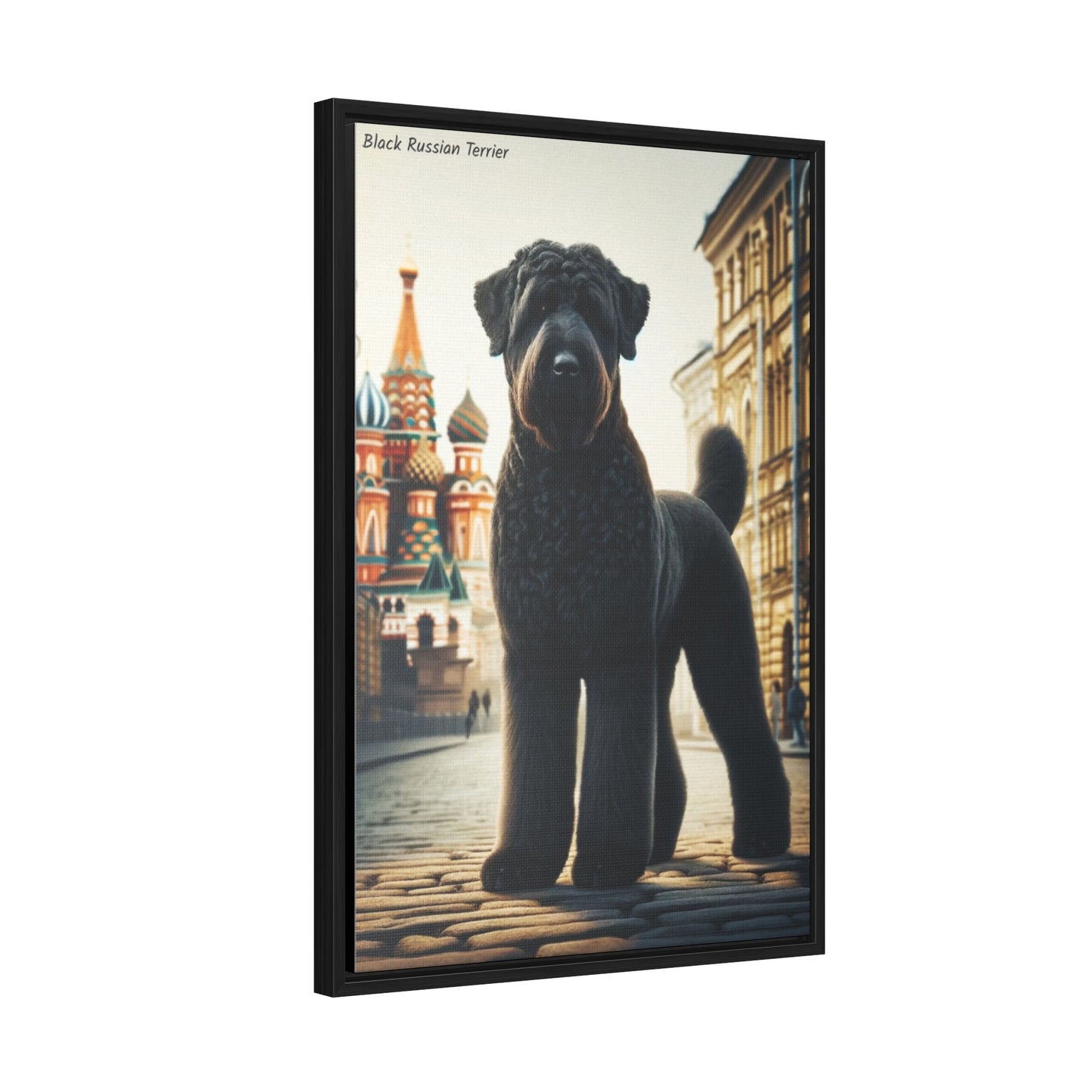 Black Russian Terrier: The Guardian of Strength and Elegance