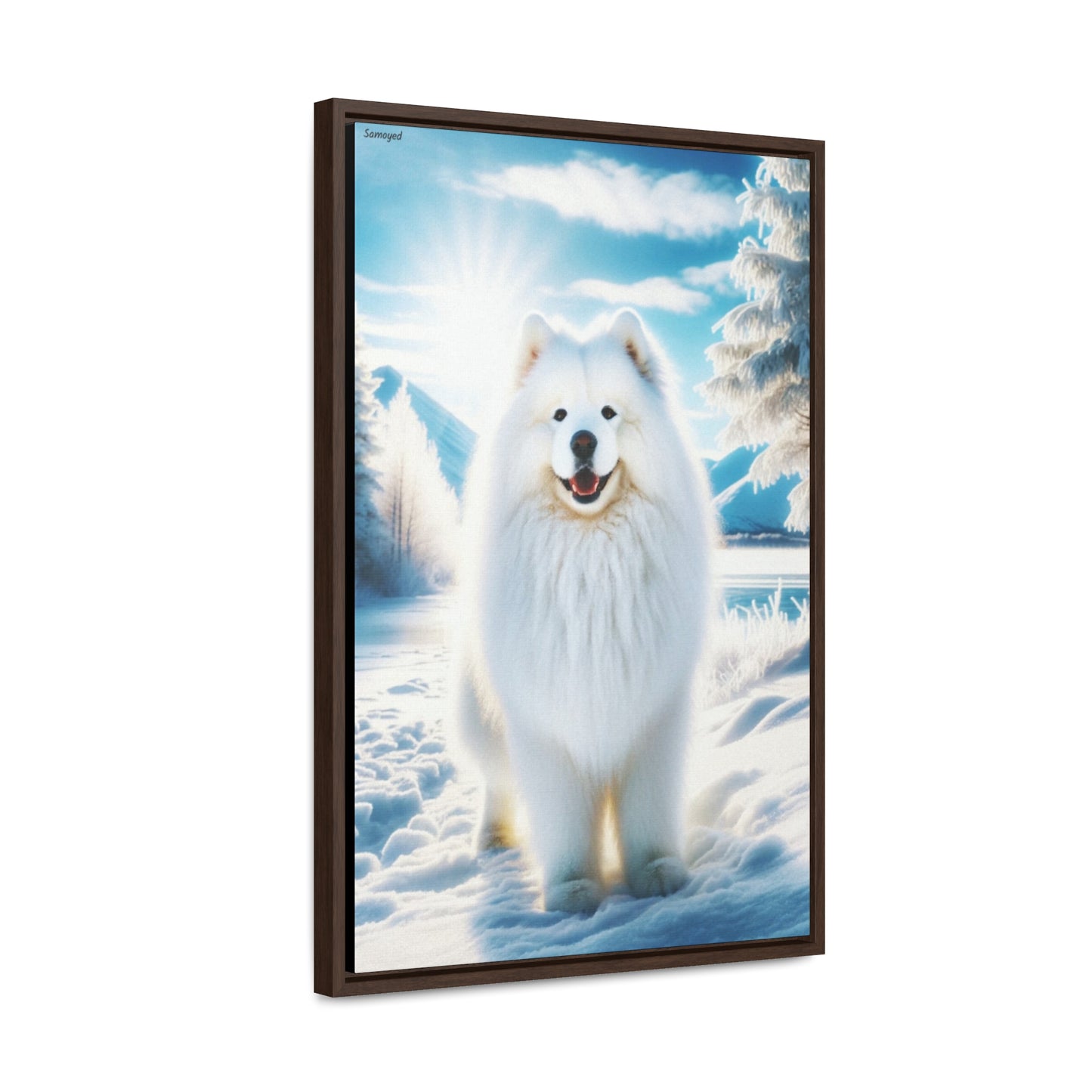 Samoyed Bliss: A Captivating Portrait