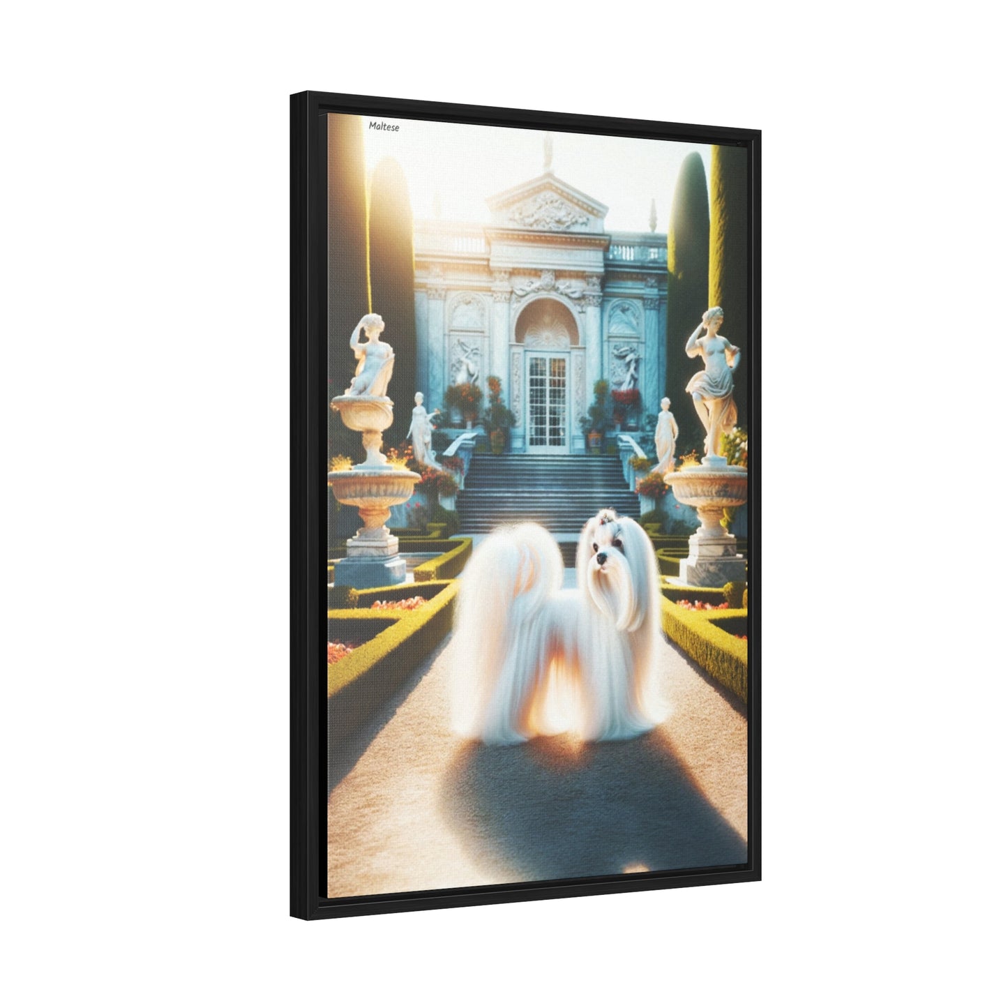 Charming Elegance: Maltese Dog Portrait by Arturo Digavi