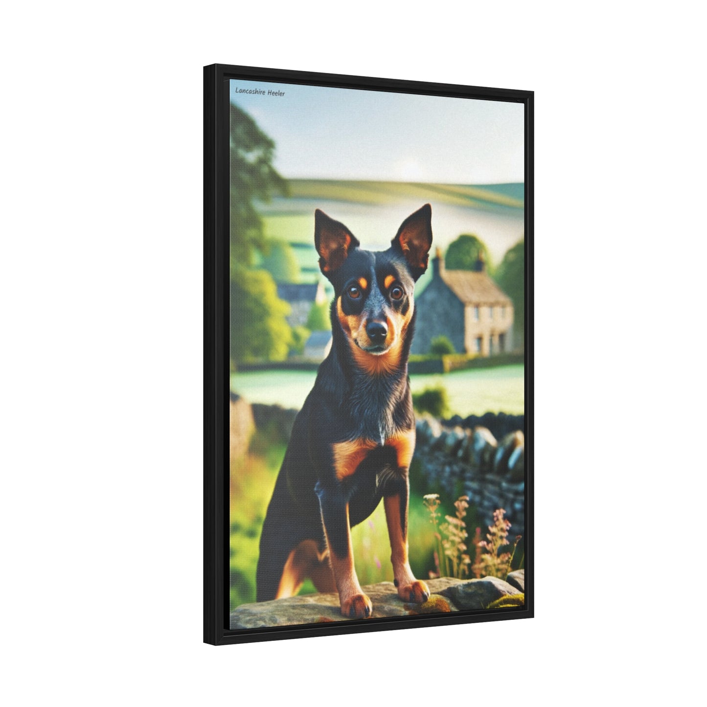 The Energetic Lancashire Heeler: A Vibrant Digital Masterpiece by Arturo Digavi