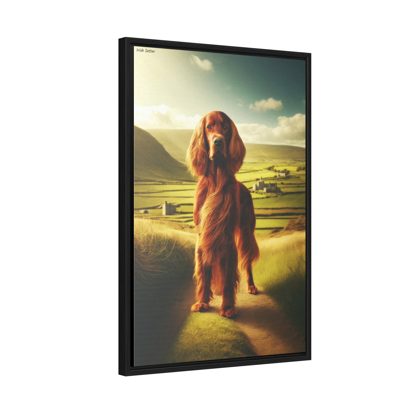 Elegance in Motion: Irish Setter by Arturo Digavi