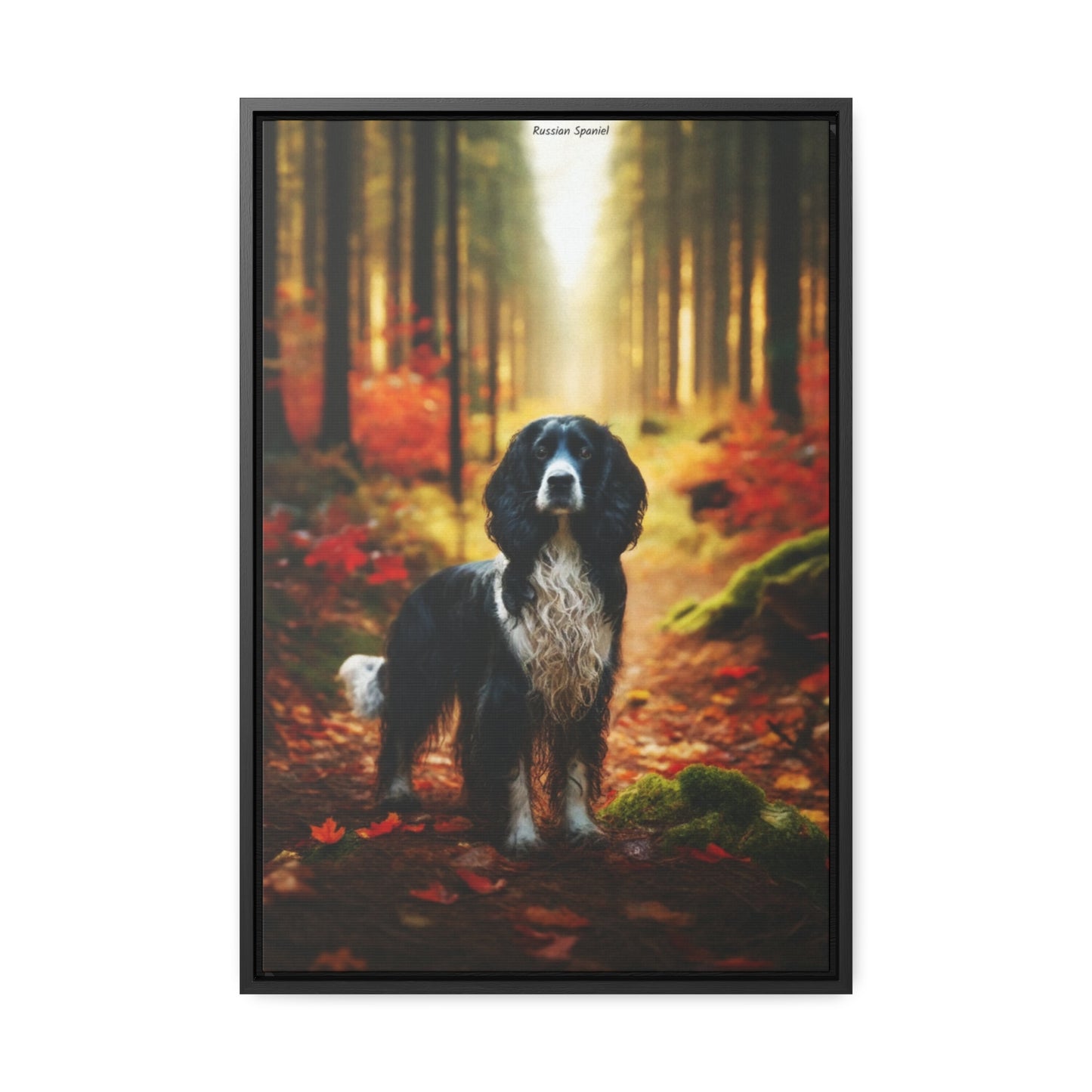 Russian Spaniel: A Portrait of Loyalty and Elegance