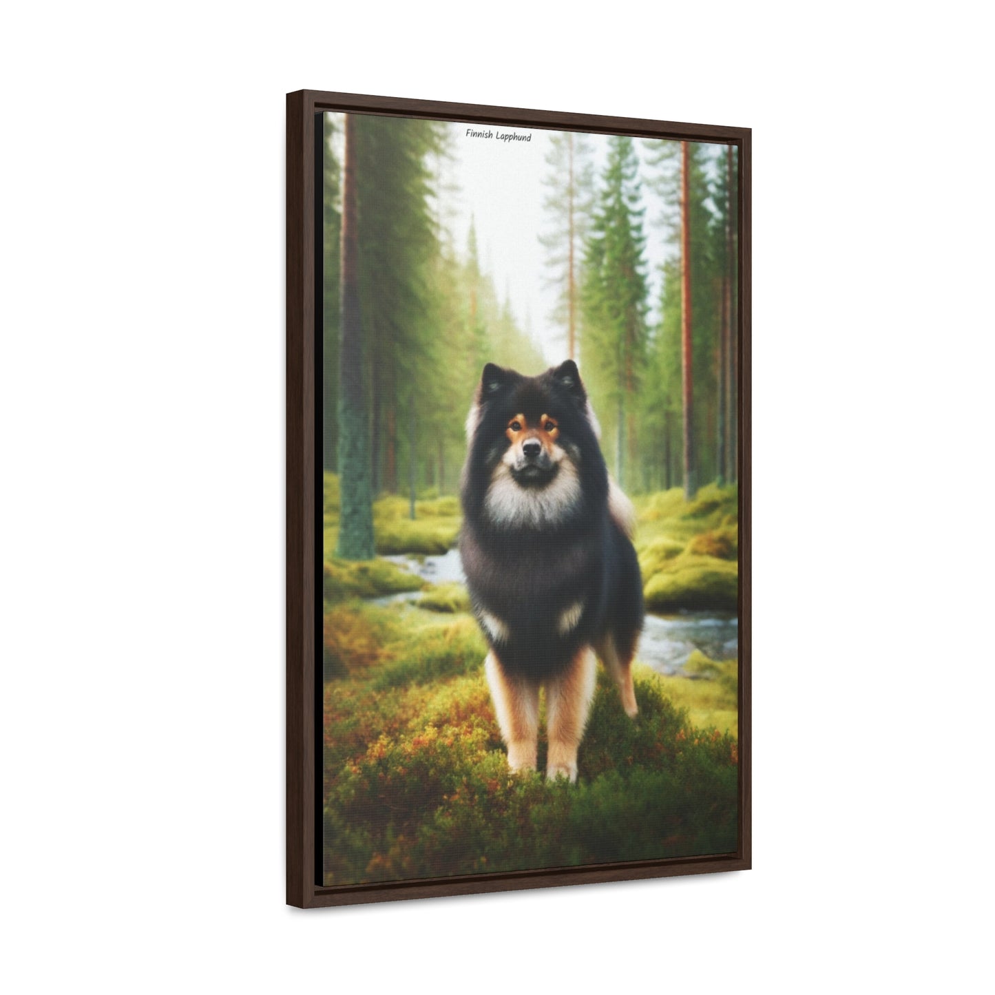 Majestic Finnish Lapphund - Digital Art by Arturo Digavi