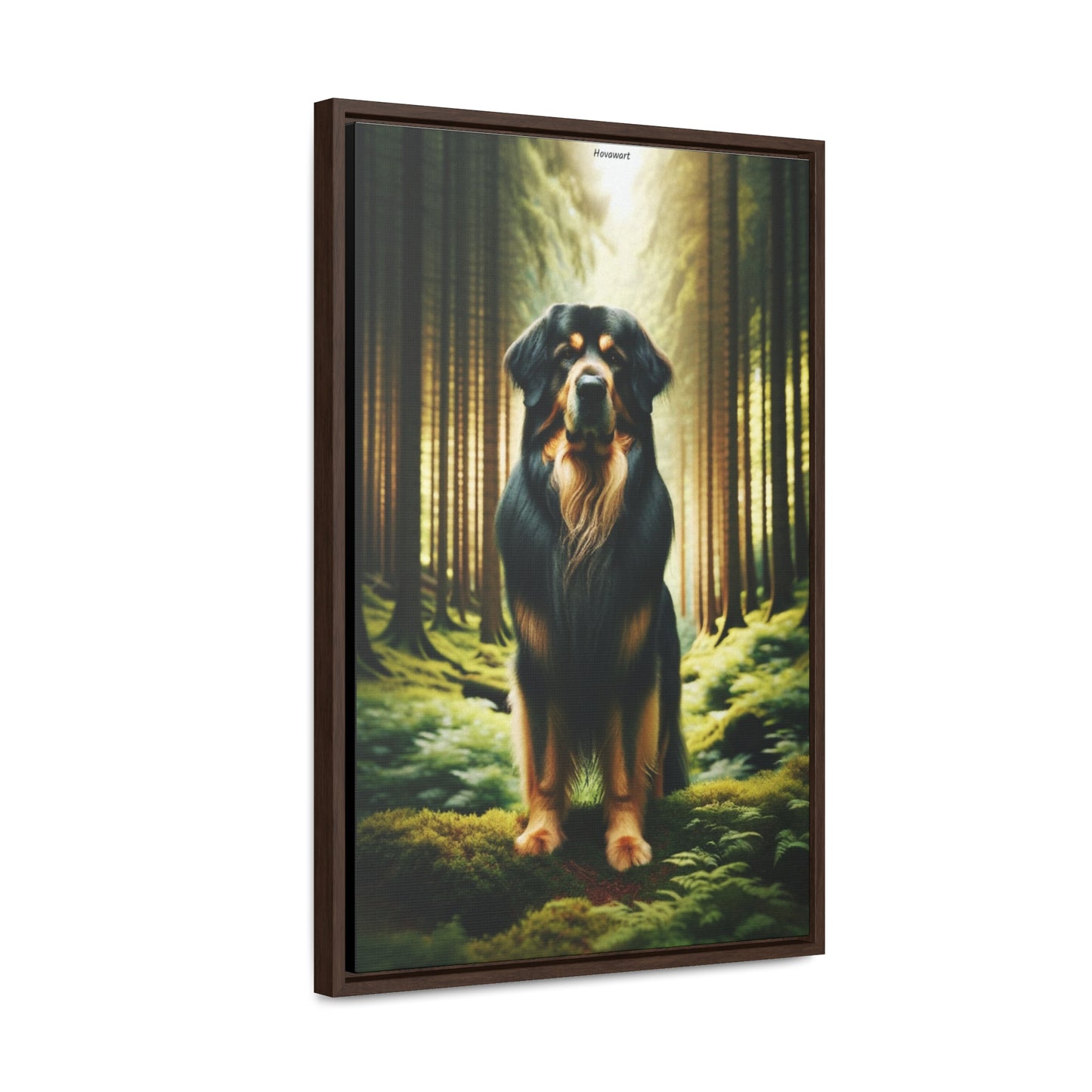 Majestic Presence: The Hovawart Dog Canvas by Arturo Digavi