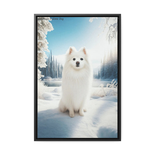 American Eskimo: The Playful Snowball