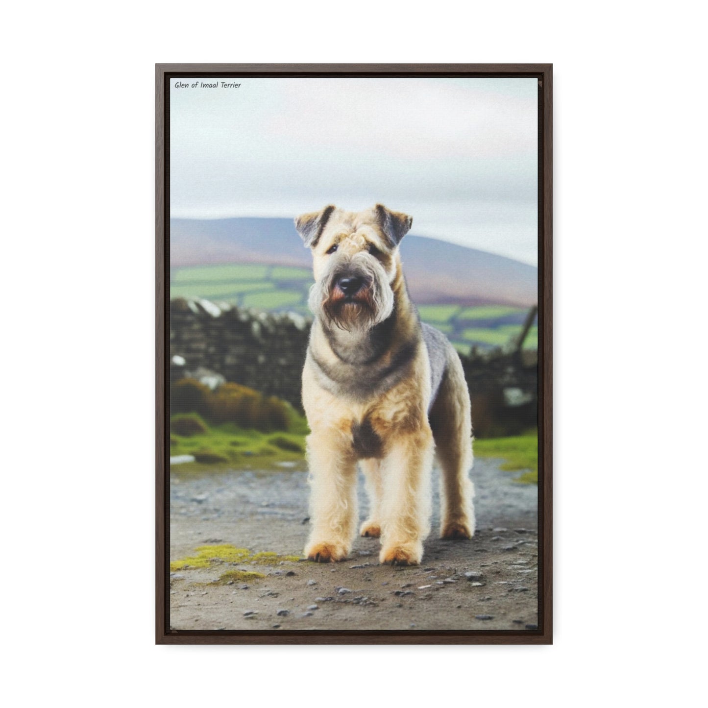 Charming Glen of Imaal Terrier - A Unique Canvas by Arturo Digavi