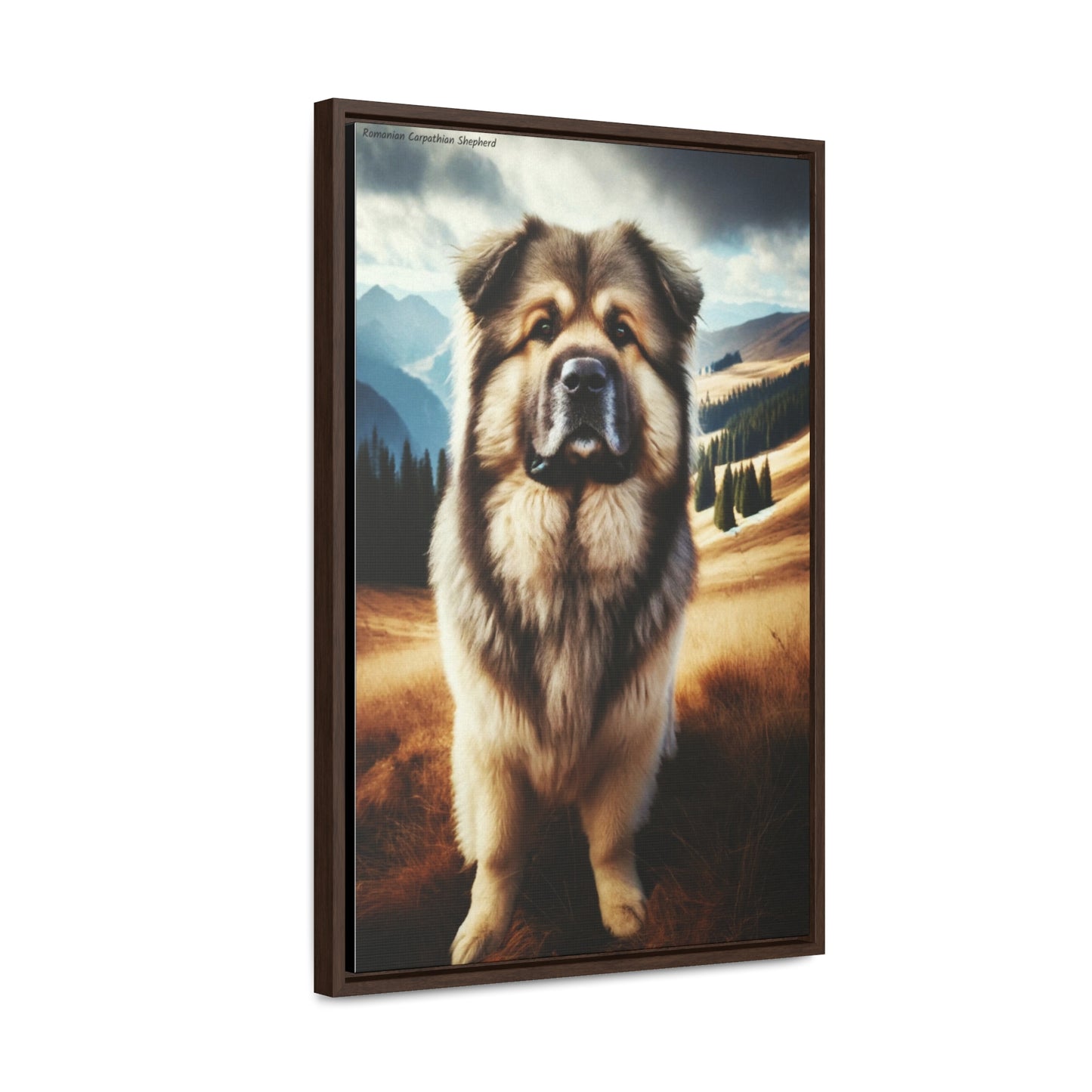 Romanian Carpathian Shepherd: A Majestic Protector on Canvas