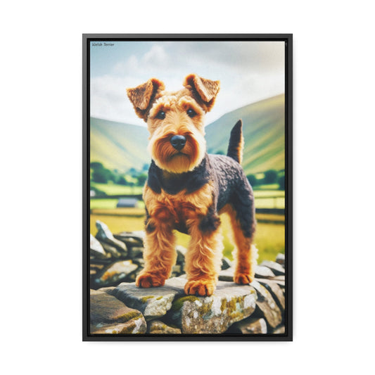 Celebrate the Charm of the Welsh Terrier