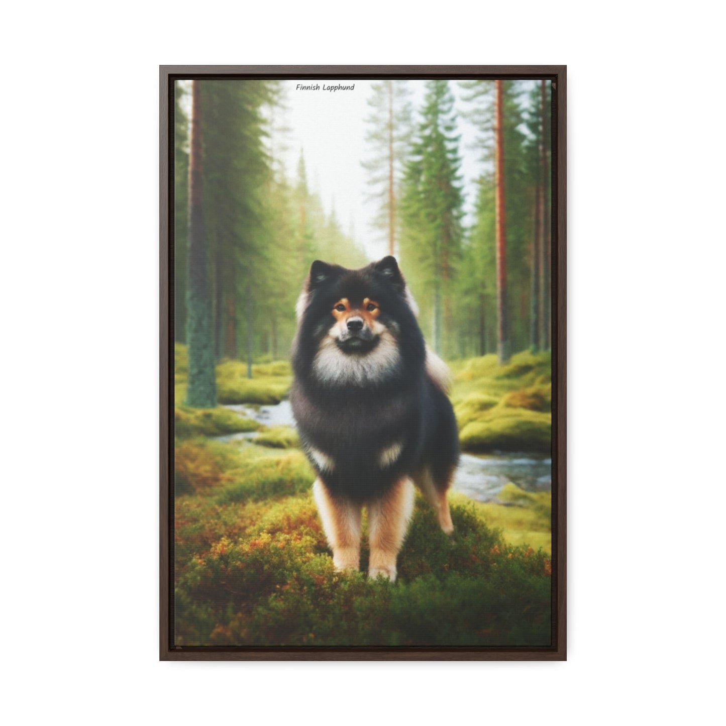 Majestic Finnish Lapphund - Digital Art by Arturo Digavi