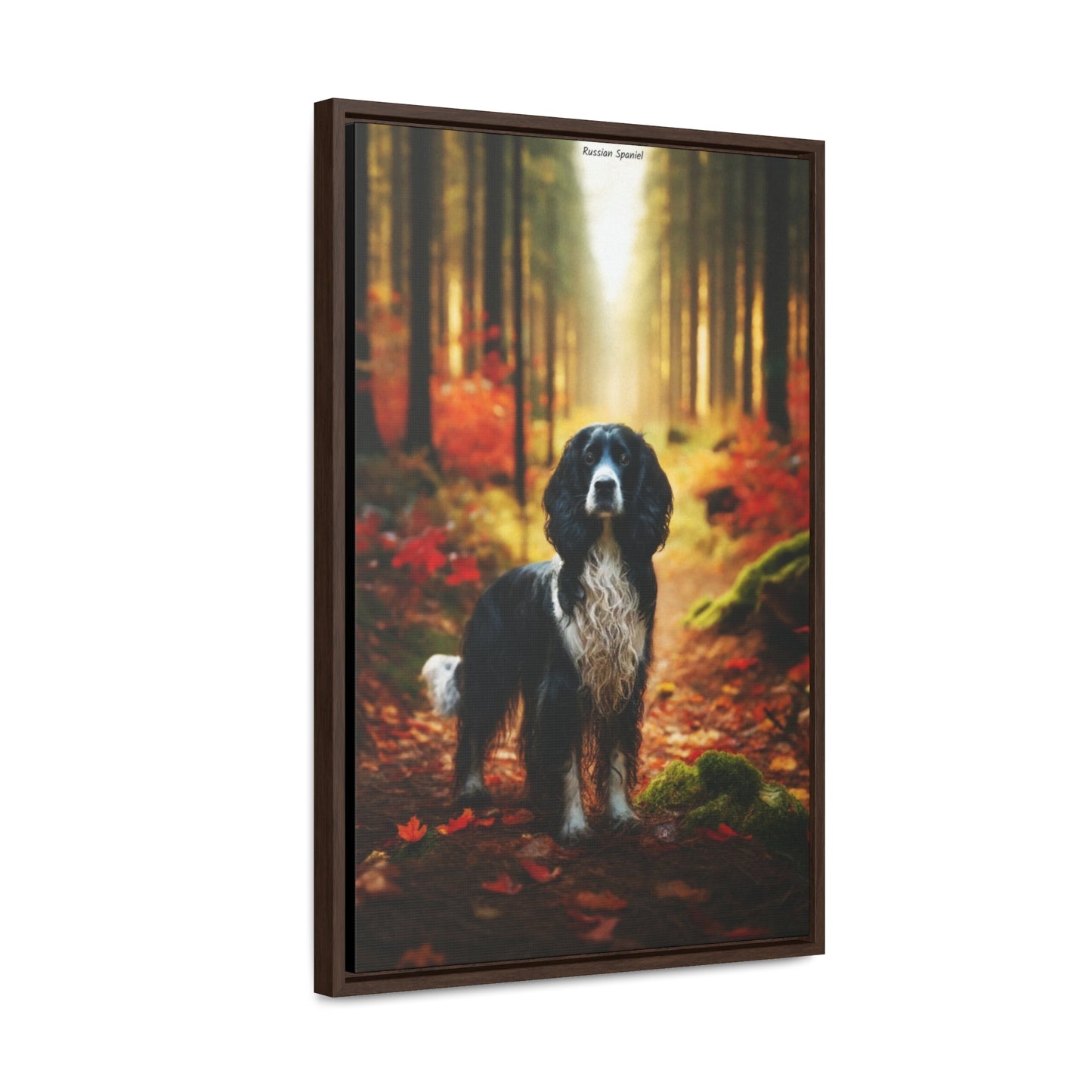 Russian Spaniel: A Portrait of Loyalty and Elegance