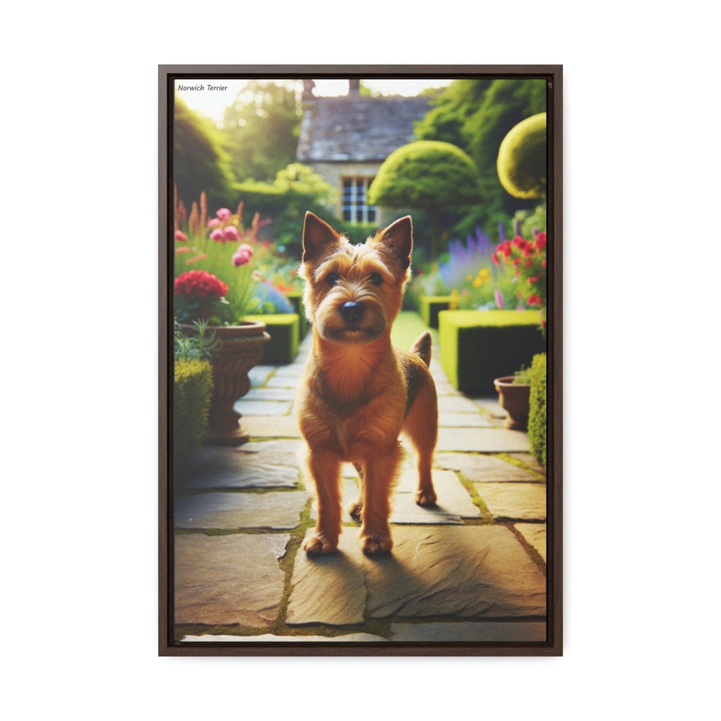 Charming Norwich Terrier: A Digital Delight by Arturo Digavi