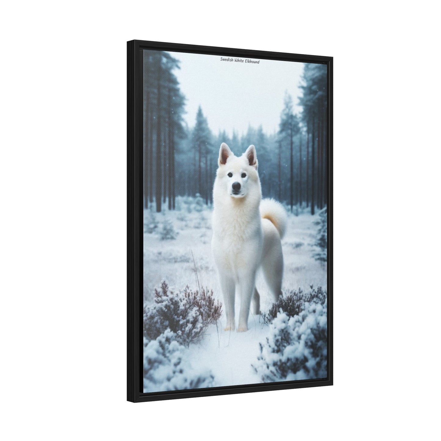 Embrace the Elegance of the Swedish White Elkhound: A Stunning Canvas by Arturo Digavi