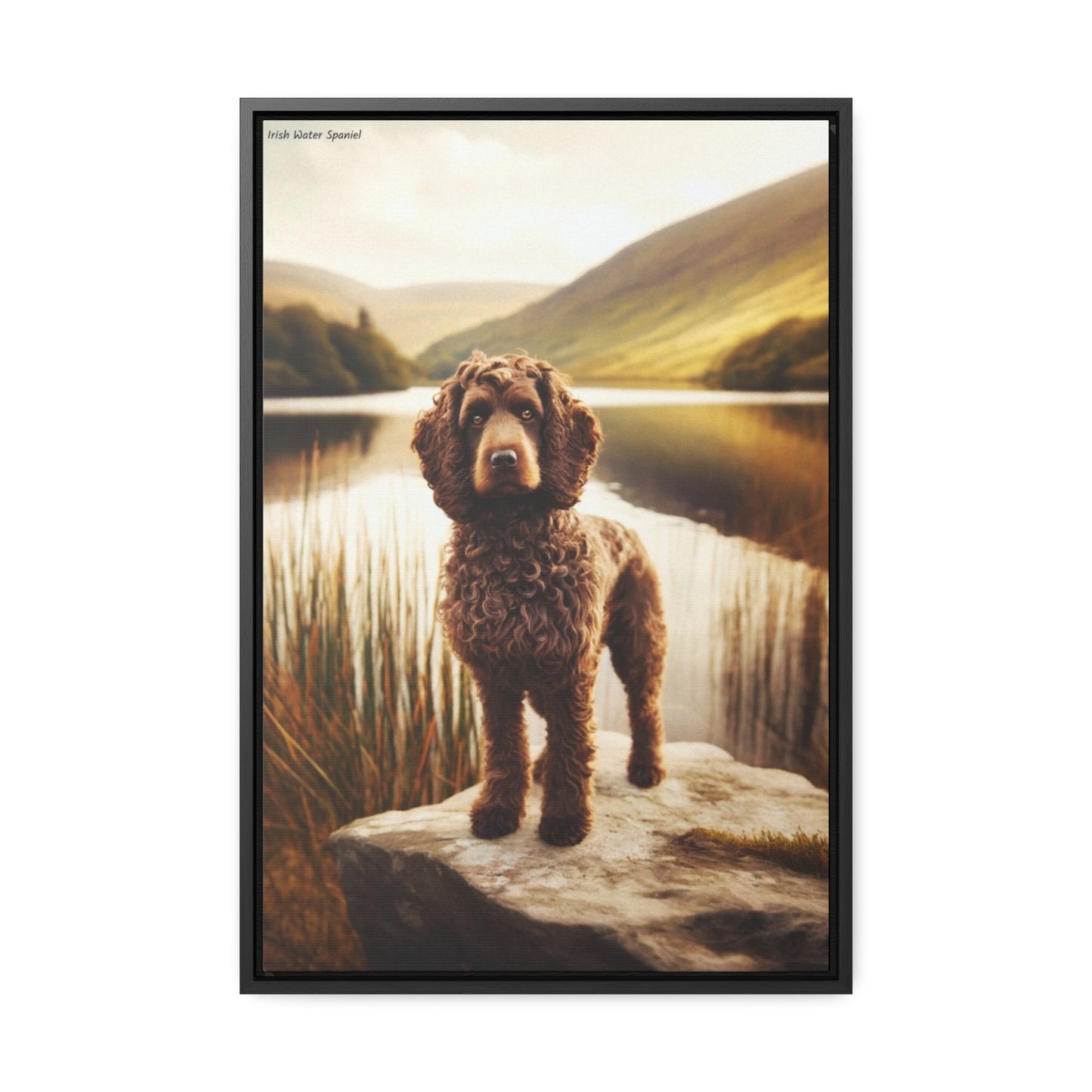 Elegance in Motion: Irish Water Spaniel by Arturo Digavi