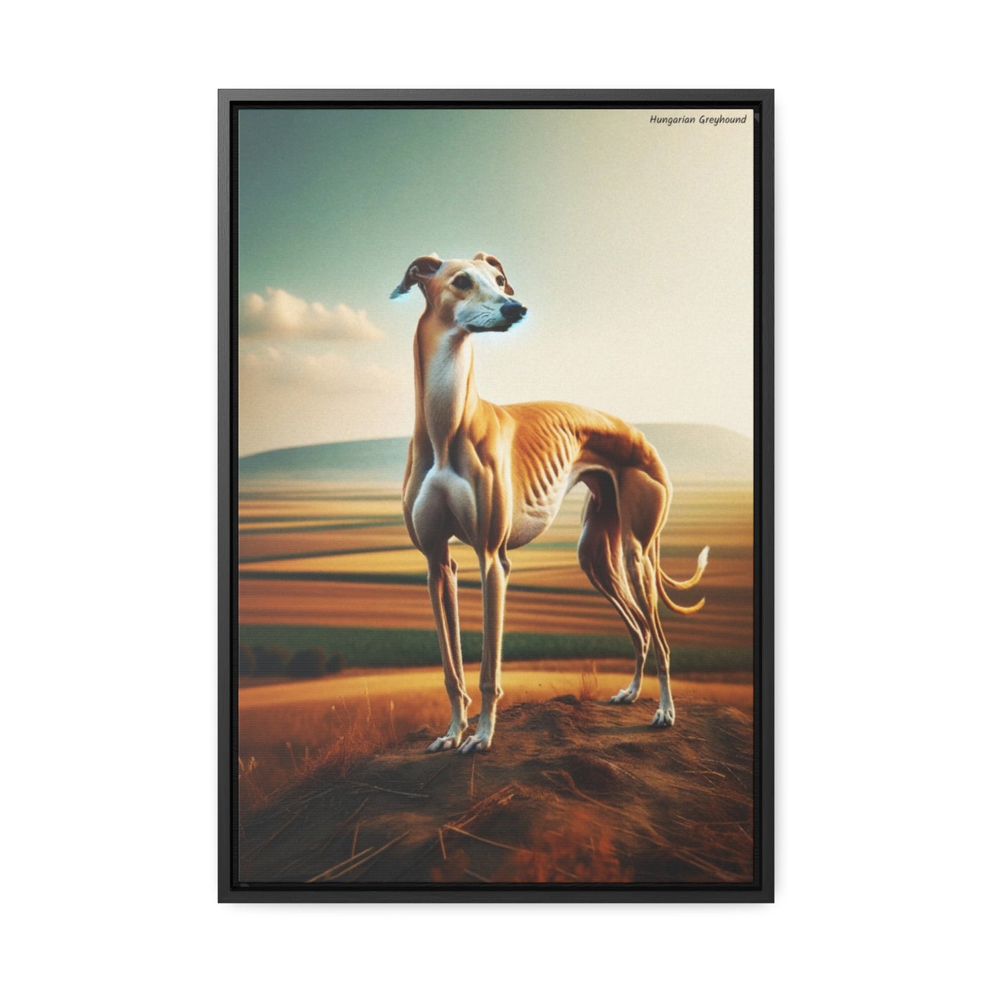 Grace in Motion: The Hungarian Greyhound Dog Canvas by Arturo Digavi