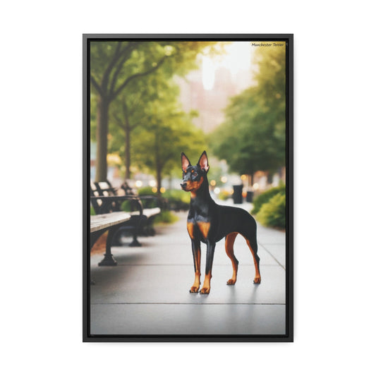 Loyal Elegance: Manchester Terrier Portrait by Arturo Digavi