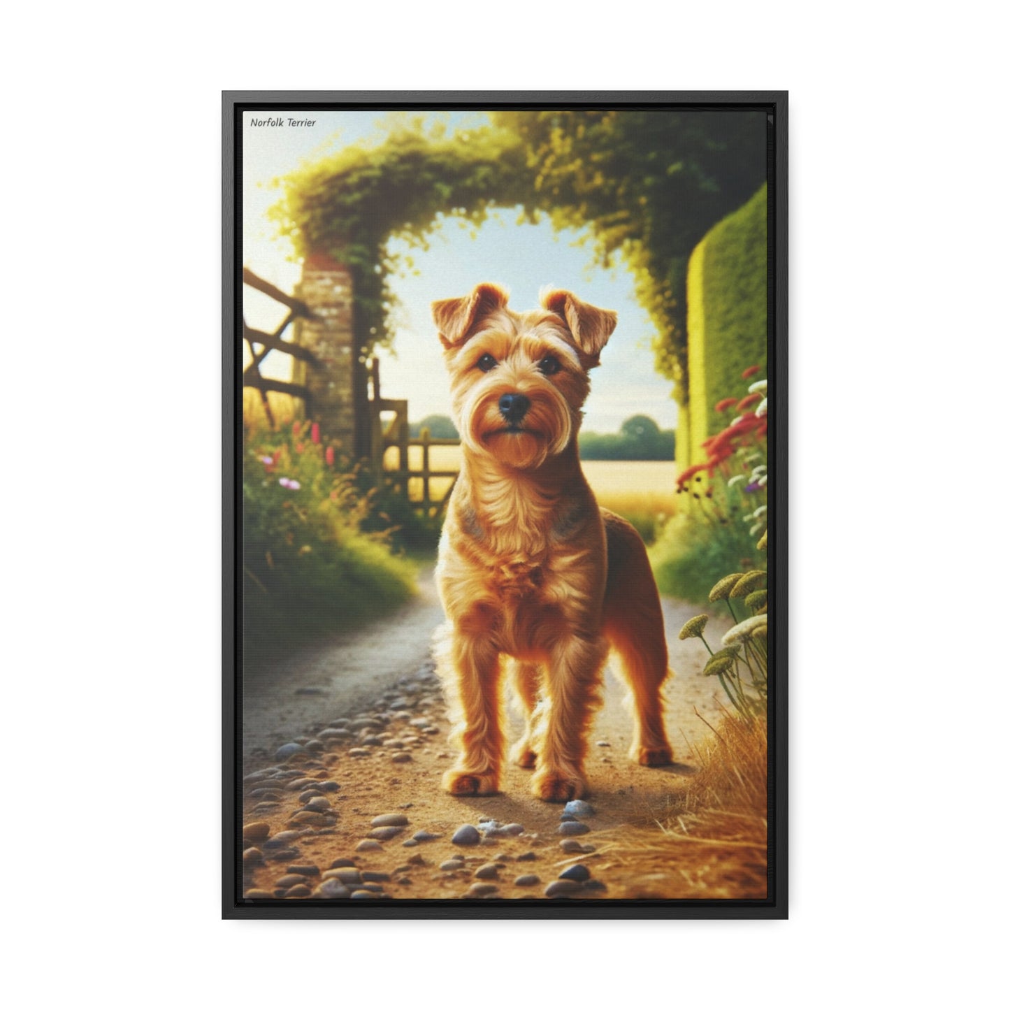 Charming Spirit: The Norfolk Terrier by Arturo Digavi