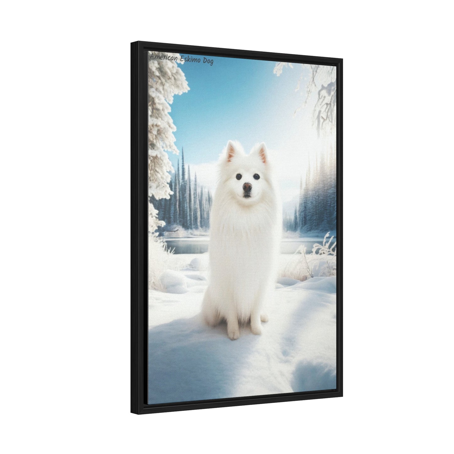 American Eskimo: The Playful Snowball