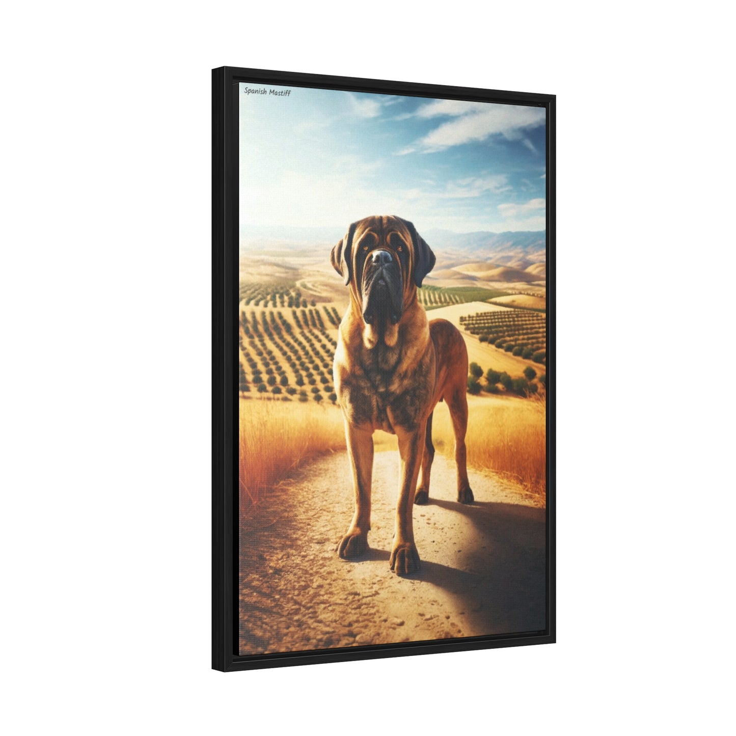 Spanish Mastiff: The Guardian of the Spanish Countryside by Arturo Digavi