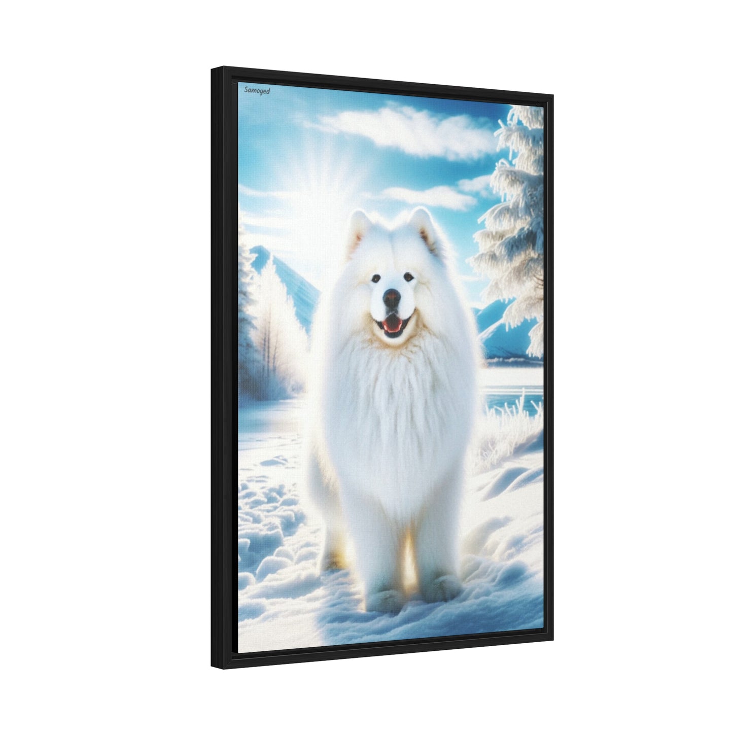 Samoyed Bliss: A Captivating Portrait