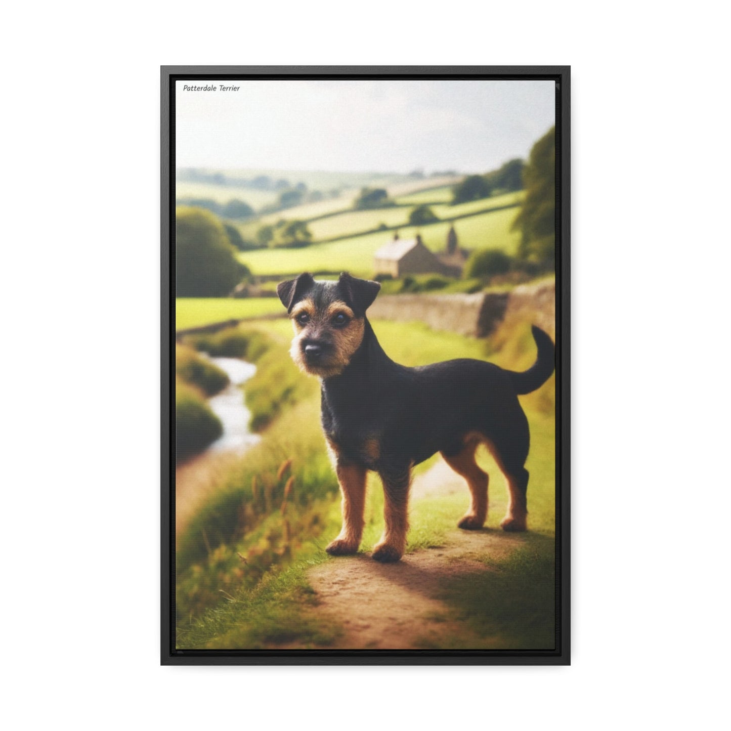 Celebrate the Charismatic Patterdale Terrier