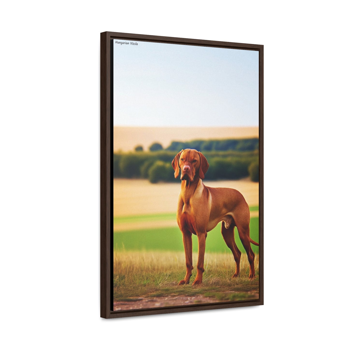 Hungarian Vizsla Majesty: A Captivating Canvas by Arturo Digavi