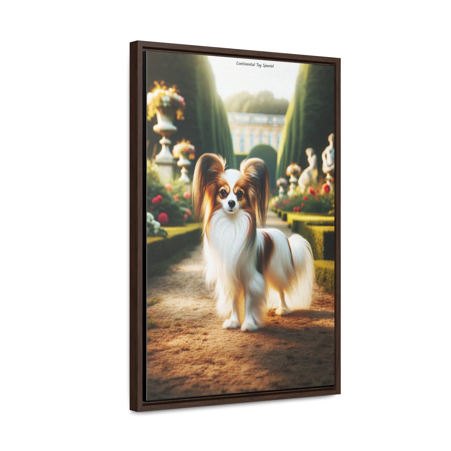 Charming Continental Toy Spaniel