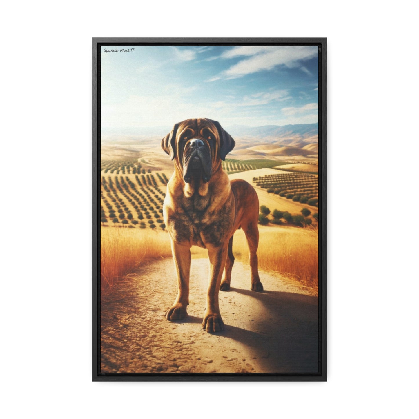 Spanish Mastiff: The Guardian of the Spanish Countryside by Arturo Digavi