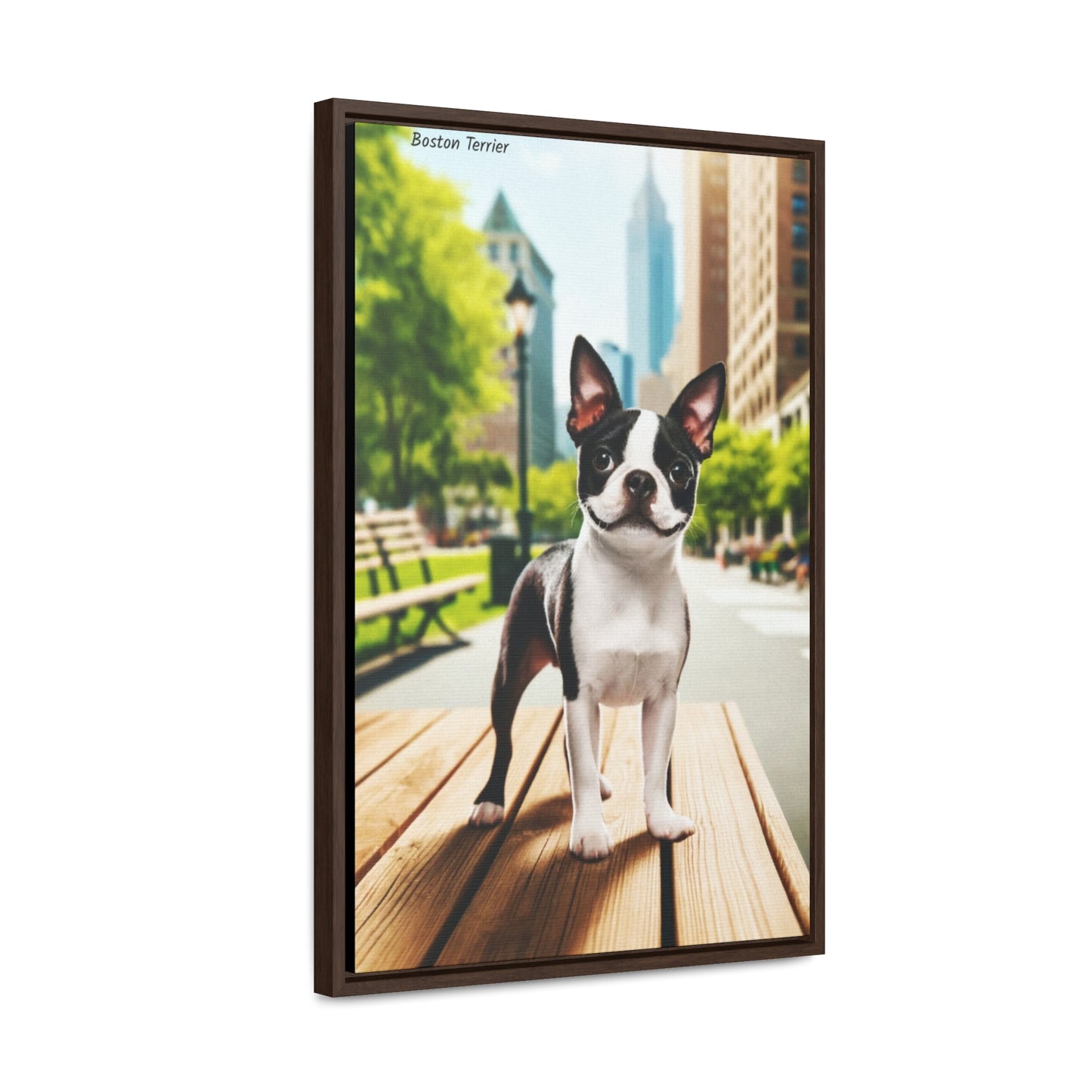 Boston Terrier Brilliance: A Touch of Charm for Your Home