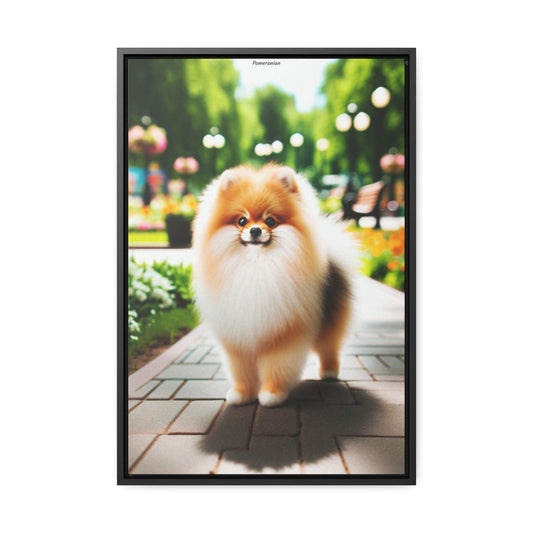 Adorable Charm: Pomeranian Portrait