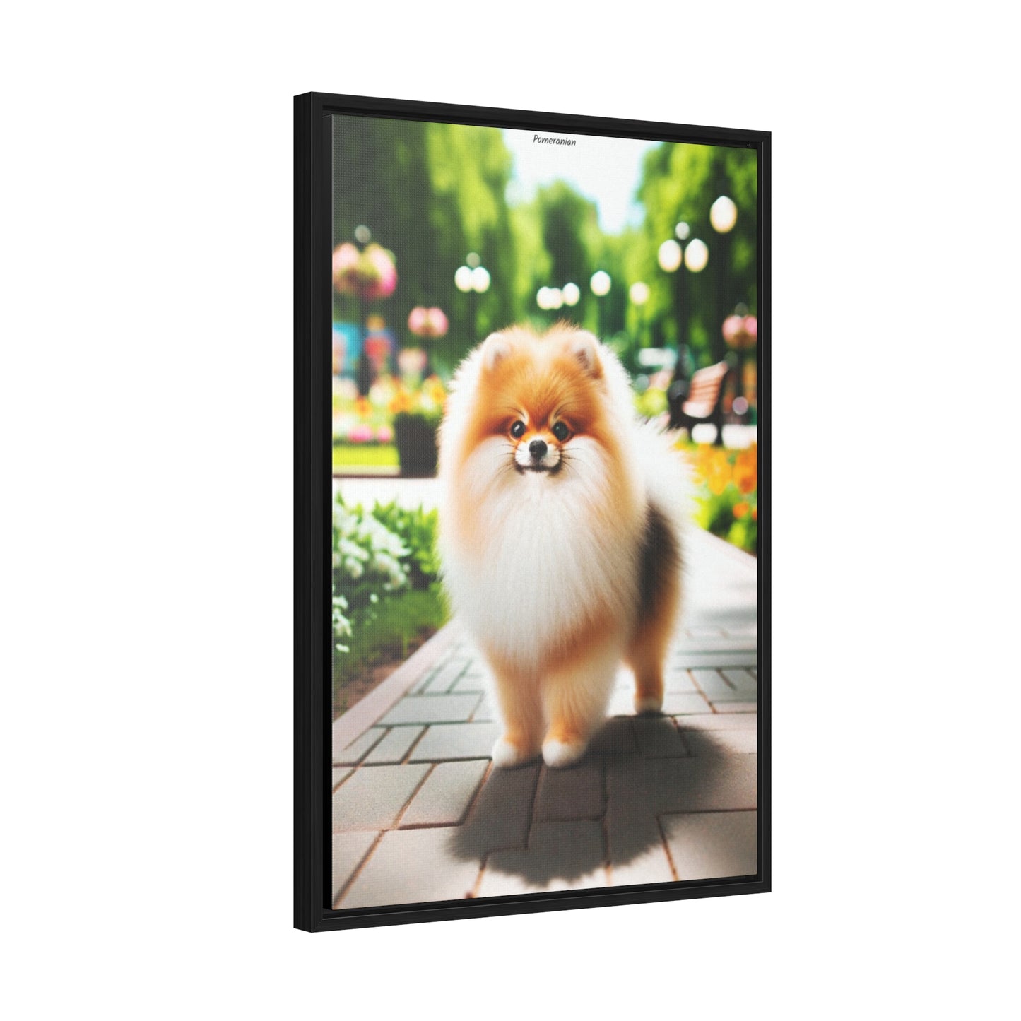 Adorable Charm: Pomeranian Portrait