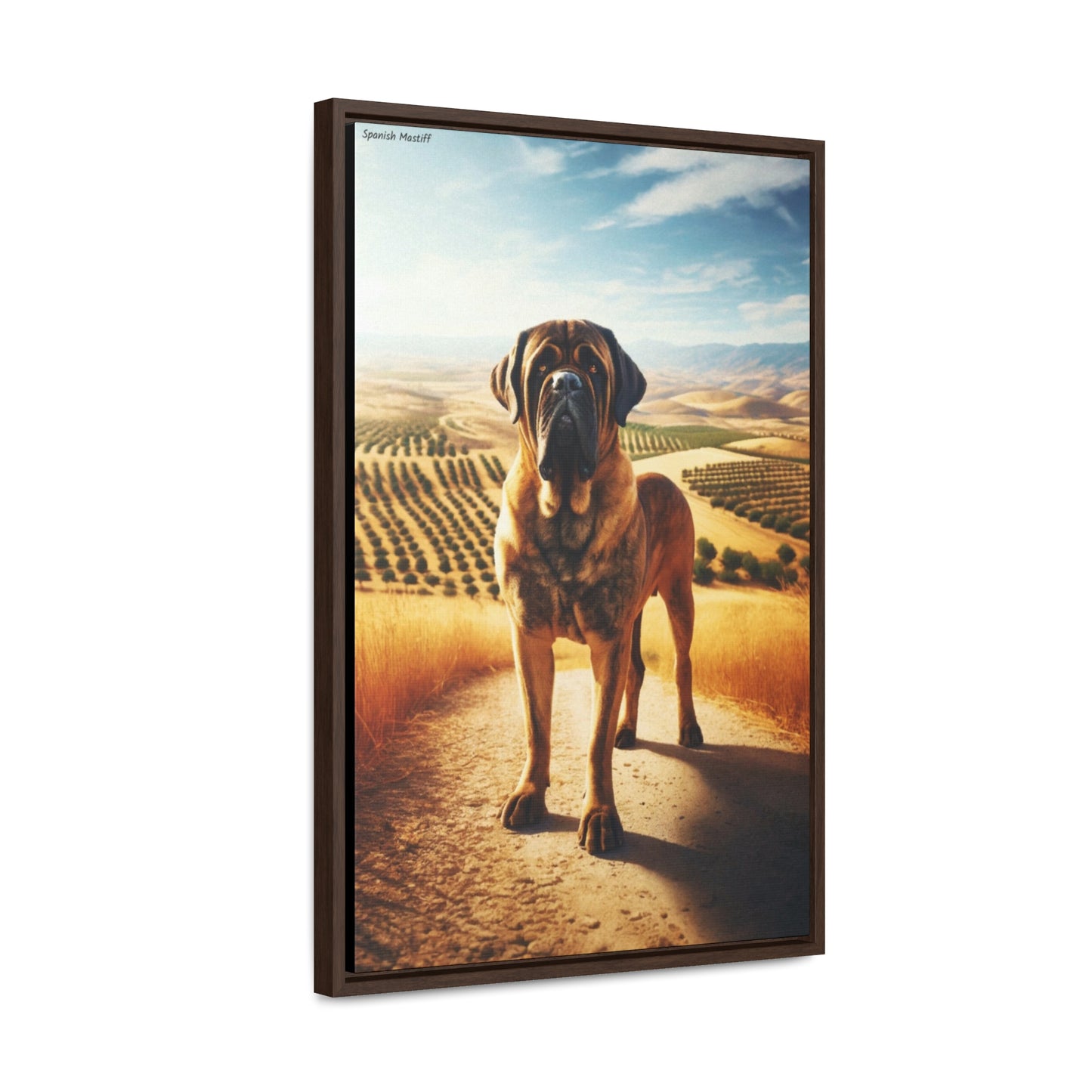 Spanish Mastiff: The Guardian of the Spanish Countryside by Arturo Digavi