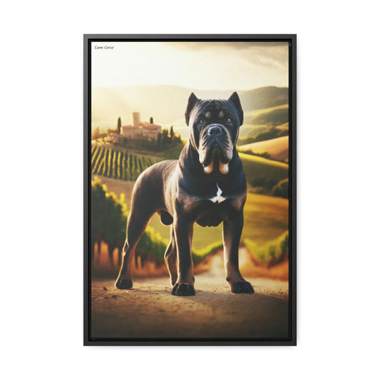 Majestic Guardian: The Cane Corso