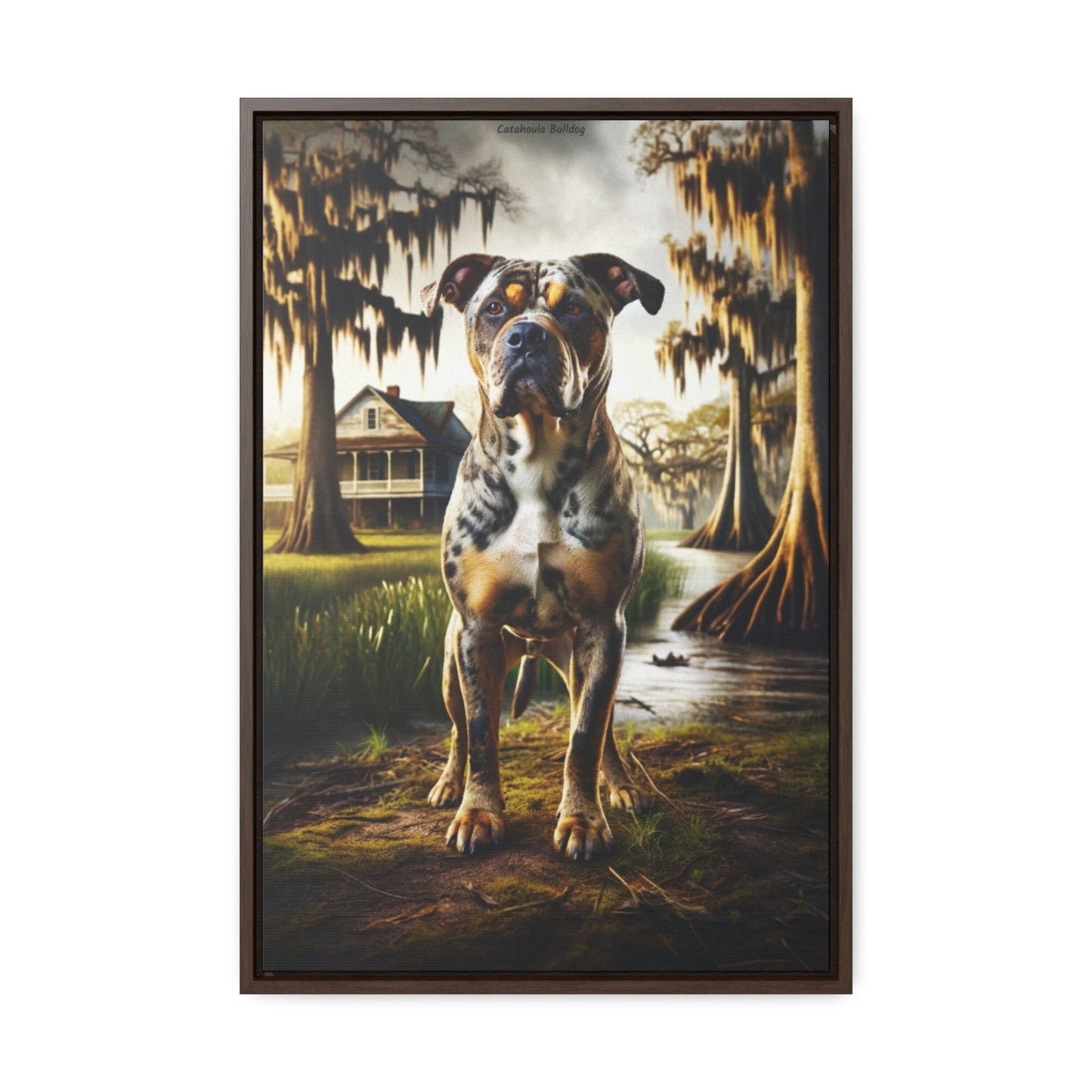 Dynamic Spirit: The Catahoula Bulldog